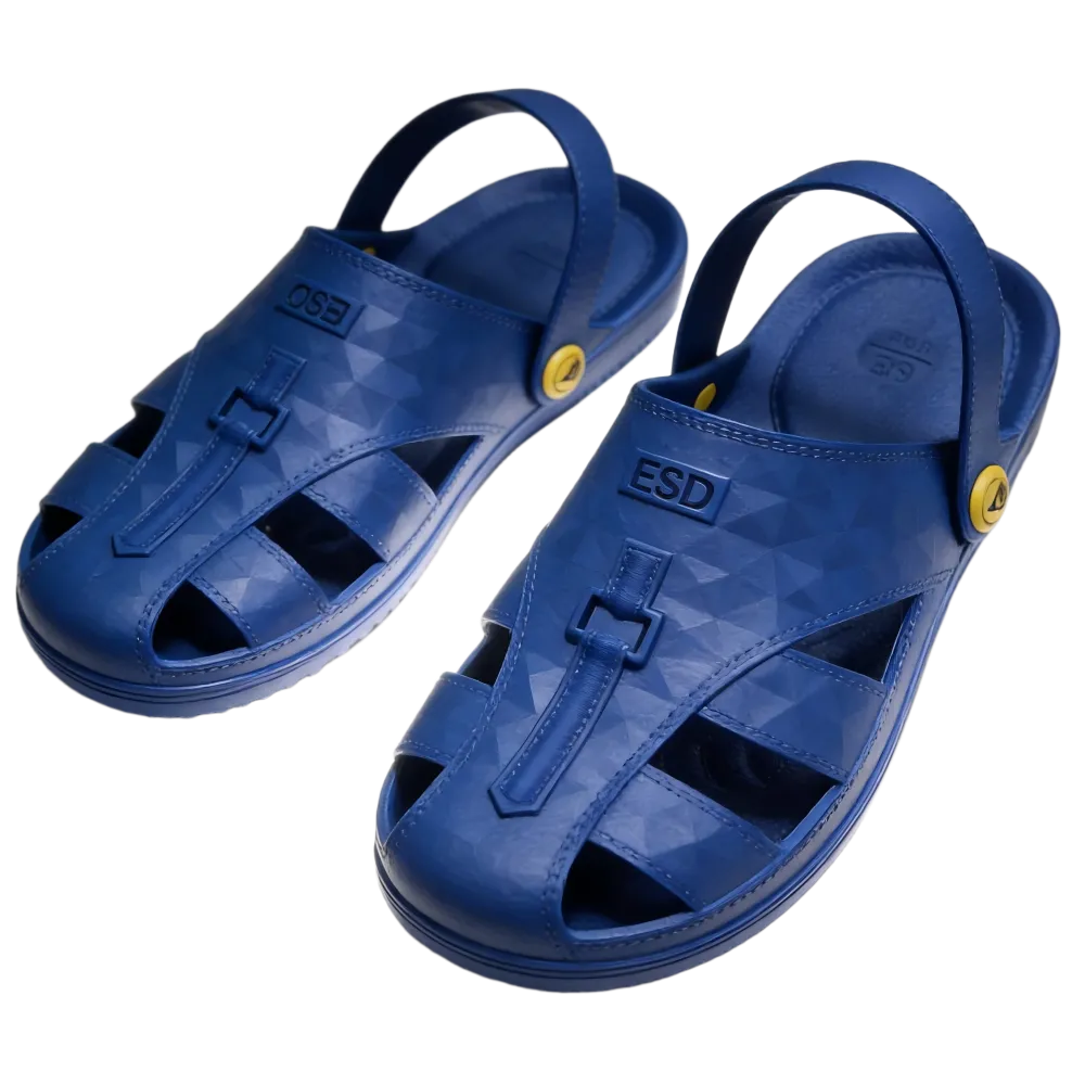 Anti-Static Shoes